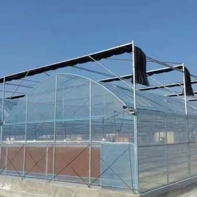 Семеноводство Культивация Juxiang гидропонической фермы пленки теплицы с индивидуальным запросом