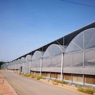 Семеноводство Культивация Juxiang гидропонической фермы пленки теплицы с индивидуальным запросом