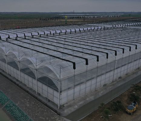 Семеноводство Культивация Juxiang гидропонической фермы пленки теплицы с индивидуальным запросом