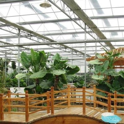 Juxiang листовки ПК доска Зеленый дом для гидропонных систем выращивания клубника на заказ