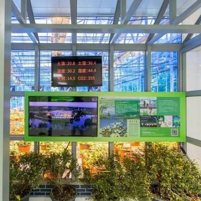 Juxiang листовки ПК доска Зеленый дом для гидропонных систем выращивания клубника на заказ