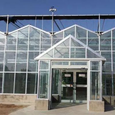 Juxiang листовки ПК доска Зеленый дом для гидропонных систем выращивания клубника на заказ
