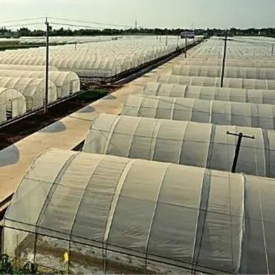 Juxiang листовки ПК доска Зеленый дом для гидропонных систем выращивания клубника на заказ