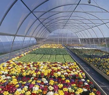 Система гидропоники с одной панелью для выращивания овощей в теплицах