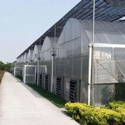 Гидропоническая система Juxiang Multi-Span влажность теплицы для цветов Возврат возмещений