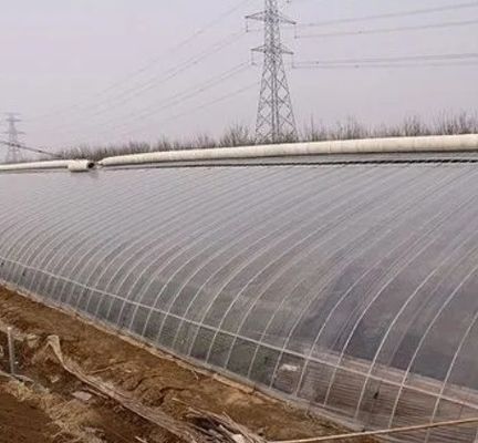 Двухпленочная гидропонная система для огурцов Размер упаковки 12,09 см * 2,35 см * 2,39 см