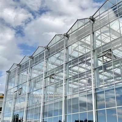 Венло Холоу Двухслойная закаленная стеклянная теплица для гидропонической системы выращивания