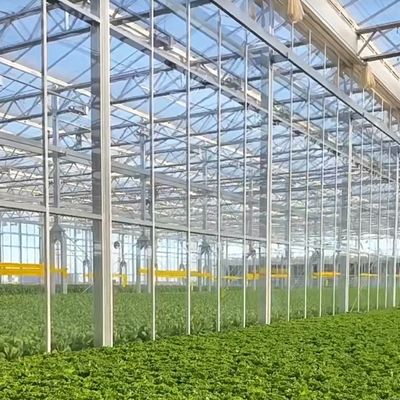 Венло Холоу Двухслойная закаленная стеклянная теплица для гидропонической системы выращивания