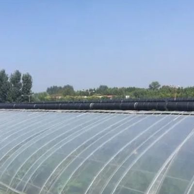 1209.00cm * 235.00cm * 239.00cm Настраиваемая пленка теплица для выращивания овощей
