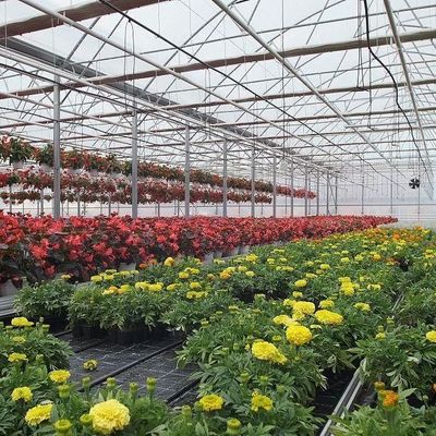 2000.000kg Пакет валовой массы Антикапельная туманная пленка теплица для выращивания овощей