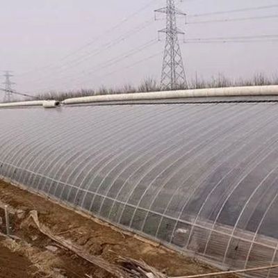 1209cm * 235cm * 239cm Размер пакета Теплица для фермы томатов и огурцов Полная оплата