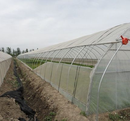 Первоначальная оплата Гидропоника большого перца и цветов с пленкой теплицы Полная оплата