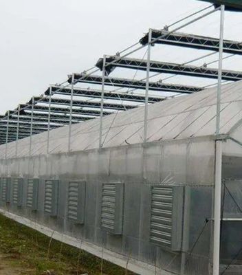 Первоначальная оплата Гидропоника большого перца и цветов с пленкой теплицы Полная оплата