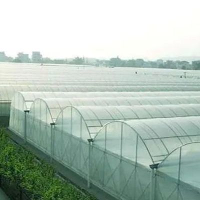 Опция настройки Juxiang гидропоническая система овощеводство пленки теплицы