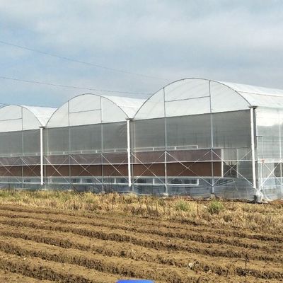 Одноствольная теплица для выращивания цветов