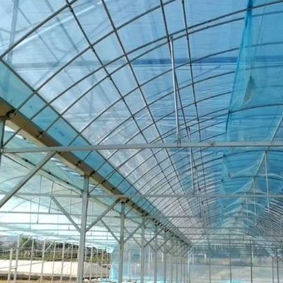 Одноствольная теплица для выращивания цветов