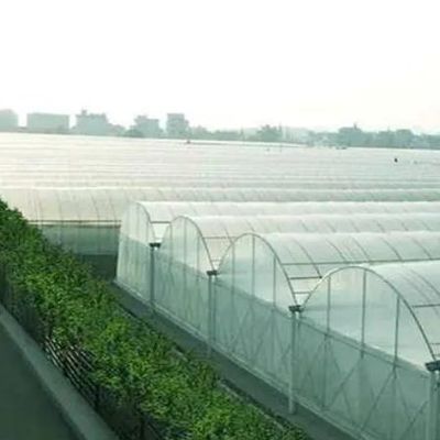 Двухслойная пленка теплица для безземельной культуры Томаты Огурцы Цветоводство