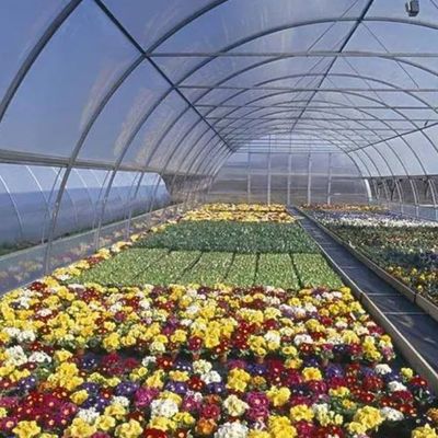 Двухслойная пленка теплица для безземельной культуры Томаты Огурцы Цветоводство
