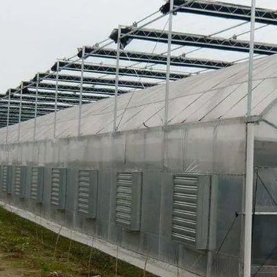 Временная тепличная крыша с дуговой пленкой для выращивания помидоров и огурцов