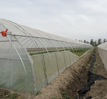 Гидропоническая теплица с двойной аркой и цветочным перцем с формой крыши с несколькими размерами
