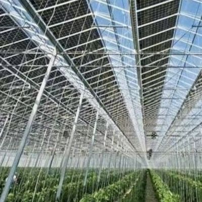 US Hot DIP Galvanized Steel Multi Span Glass Greenhouse 50,00 см * 60,00 см * 80,00 см