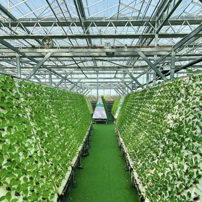 US Hot DIP Galvanized Steel Multi Span Glass Greenhouse 50,00 см * 60,00 см * 80,00 см