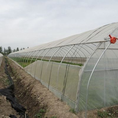 1209.00cm * 235.00cm * 239.00cm Фильмовая крышка Теплица для выращивания помидоров и огурцов