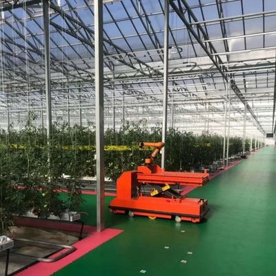 Стеклянная теплица "Venlo Multi Span" с расходами на доставку и прогнозным сроком доставки