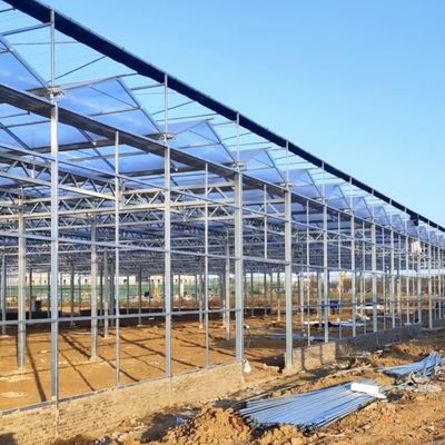 Венло закаленное стекло теплицы с гидропониками системы выращивания Большой и американской валюты