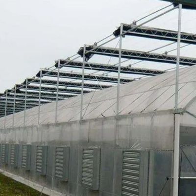 2000.000kg Пакет валовой массы однопаневая гидропоническая система для теплицы с двойной аркой