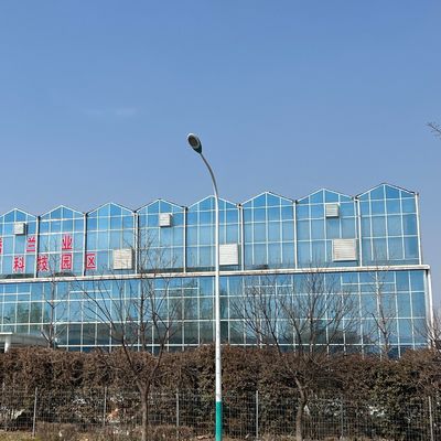 JX-A0018 Стеклянная теплица для выращивания томатов 30 дней Возврат возврата