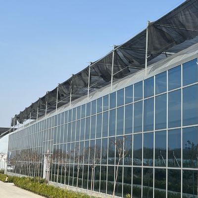 JX-A0018 Стеклянная теплица для выращивания томатов 30 дней Возврат возврата