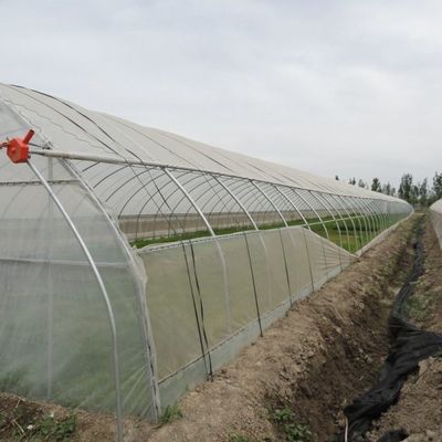 Временная нагревательная пленка тепличная гидропоническая система для выращивания овощей и цветов
