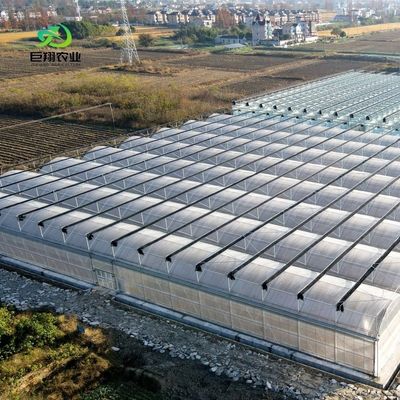 Теплица с постоянным отоплением для водорослевого выращивания томатов