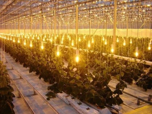 Установка по высадке пластмассовых пленок Juxiang Стальная конструкция для удобного возврата Возврат средств