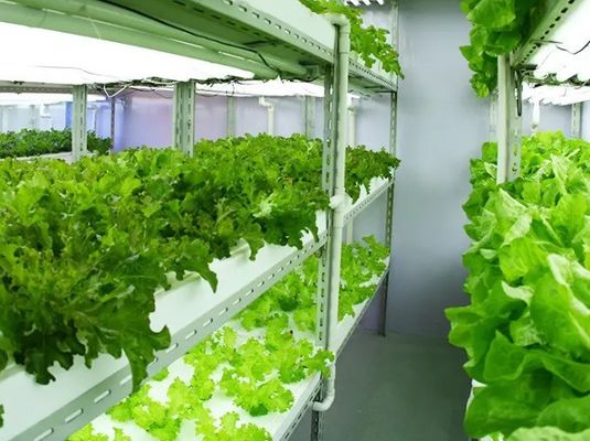 2000.000kg Водораспылитель Управляемая среда Комната для семена/овощ/фрукты/цветок