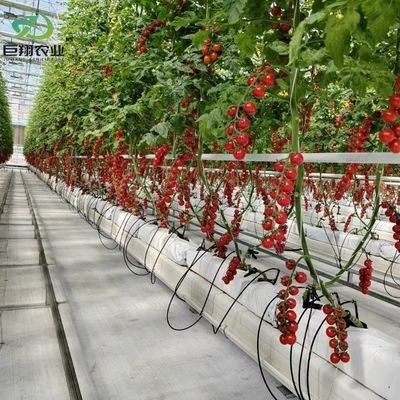 Специализированная толщина пленки сельскохозяйственная использование пластмассовая пленка гидропоника теплицы