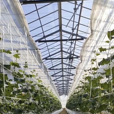 Коммерческая тепличная гидропоническая система настройки и доступности по разумным ценам