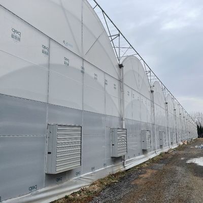 Сельскохозяйственная многопролетная пластмассовая туннельная пленка теплицы с высотой крыш от 3 до 8 м