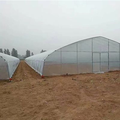 Аркированная крыша сельскохозяйственный многопролетный пластиковый туннель JX-PC Зеленый дом для сельского хозяйства