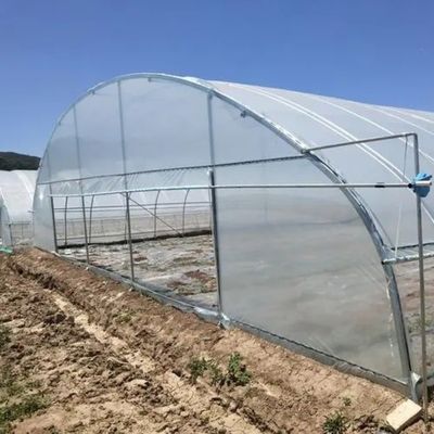 Аркированная крыша сельскохозяйственный многопролетный пластиковый туннель JX-PC Зеленый дом для сельского хозяйства