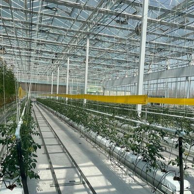 Максимизируйте рост с помощью системы безземельной культуры в контейнерной теплице с арочной крышей