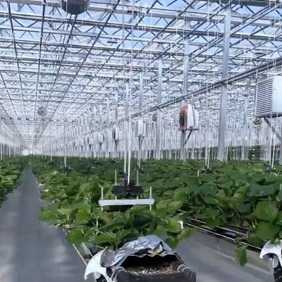Гидропоника с множественным расстоянием с хорошей светопередачей и настраиваемыми опциями