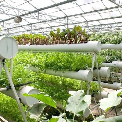 Высокопроизводительная парниковая гидропоническая система для коммерческой устойчивости