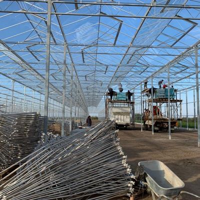 Система гидропоники тепличных растений из стекла Venlo для овощей, произведенных в Нидерландах