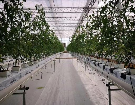 Пленка Тепличная гидропоническая система Пакет валовой вес 2000.000kg Запрос на заказ