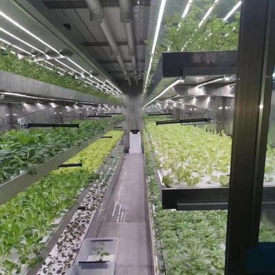 Пленка Тепличная гидропоническая система Пакет валовой вес 2000.000kg Запрос на заказ