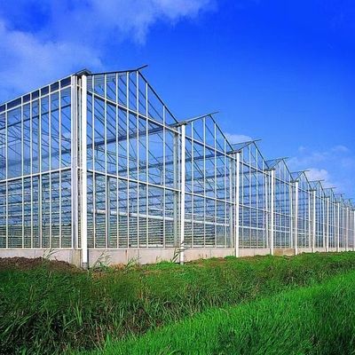 100.000kg Пакет валовой массы Стеклянная тепличная гидропоника система с капельным орошением