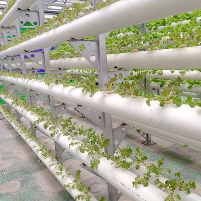 Инновационная гидропоническая система для выращивания пленки в теплицах с возможностью полной оплаты