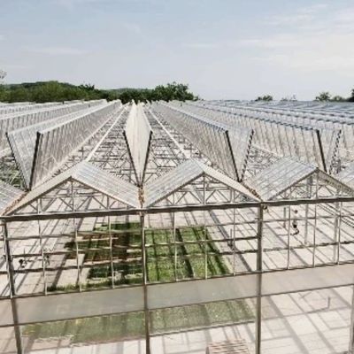 Разумная система гидропоники стеклянных теплиц для крупномасштабных сельскохозяйственных нужд